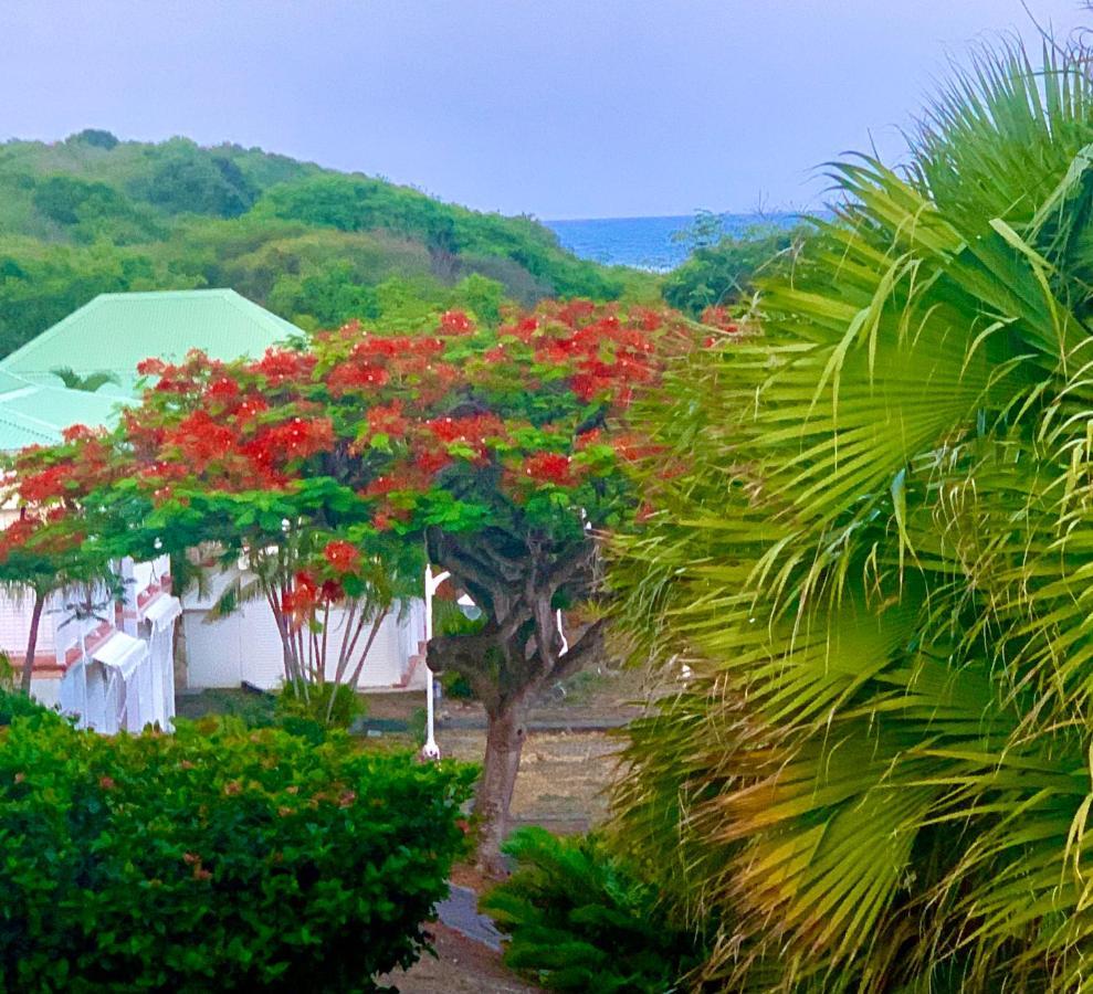 Le Titouloulou 1023 Anse Des Rochers サン・フランソワ エクステリア 写真