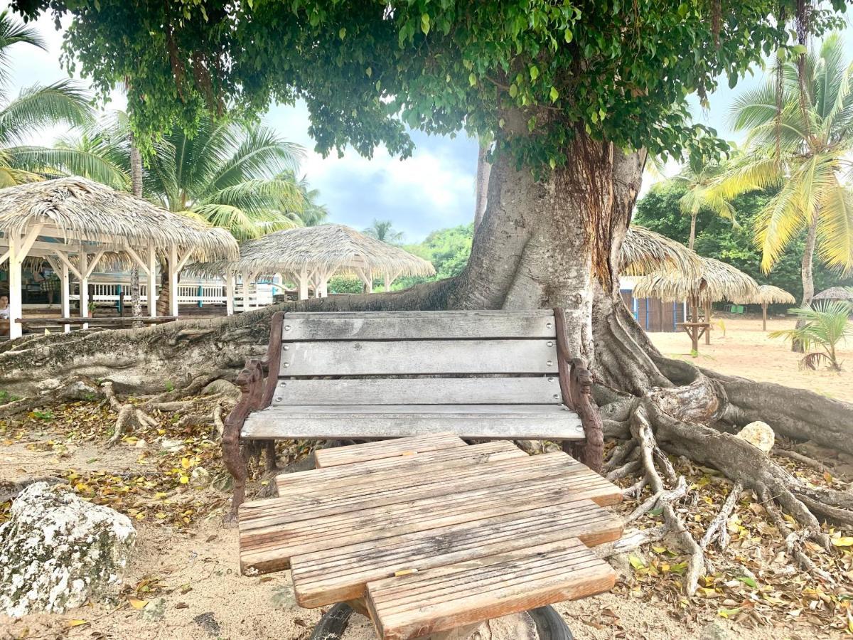 Le Titouloulou 1023 Anse Des Rochers サン・フランソワ エクステリア 写真